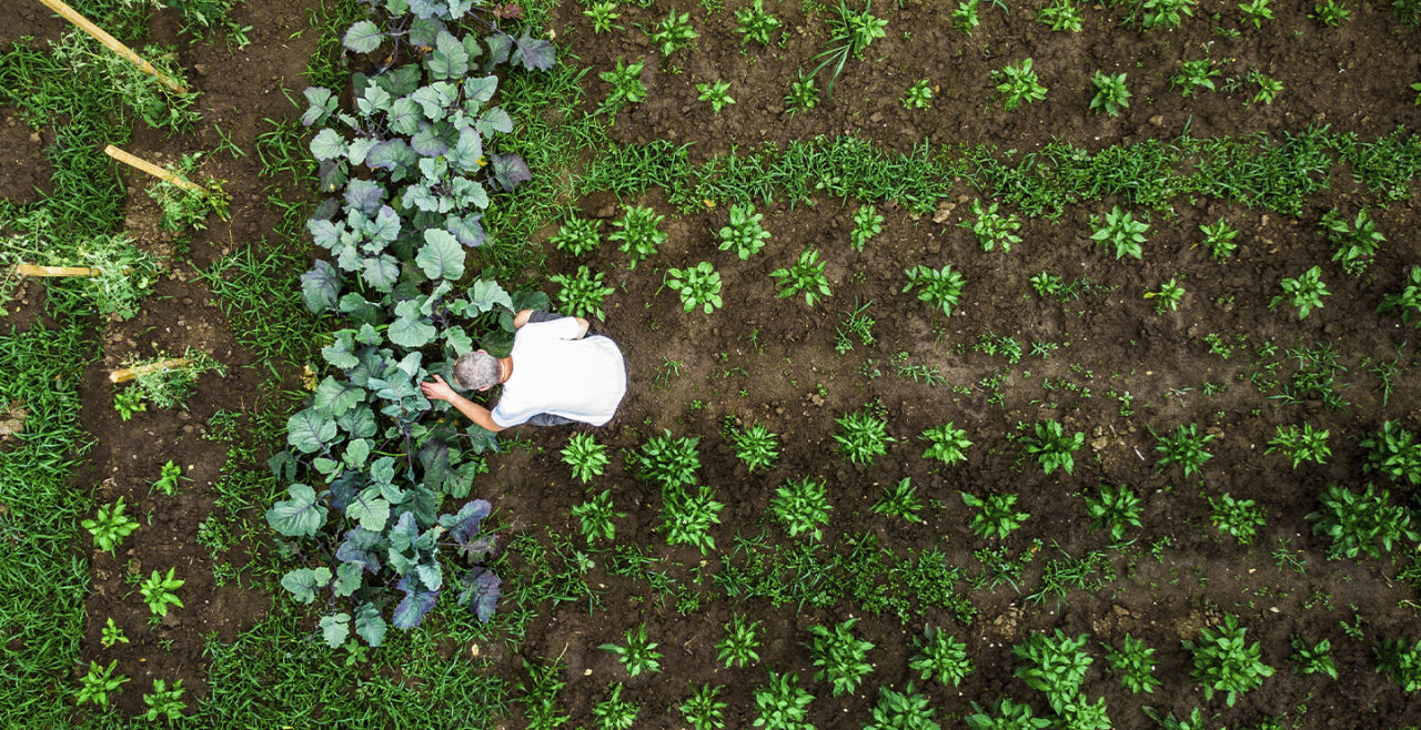 Garten Gartenarbeit - © Foto: Getty Images/ coldsnowstorm