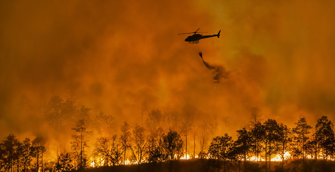 Waldbrand - © Foto: iStock/Toa55