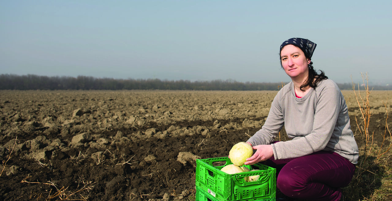 Aufmacher, Soniá Melo, Sezoniere, Erntearbeit, Arbeitsrechte, Ausbeutung, Kapitalismus - © Sezonieri