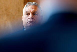Orban - © APA / AFP / Silas Stein