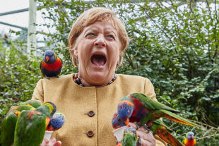 Angela Merkel - © Foto: dpa / Georg Wendt