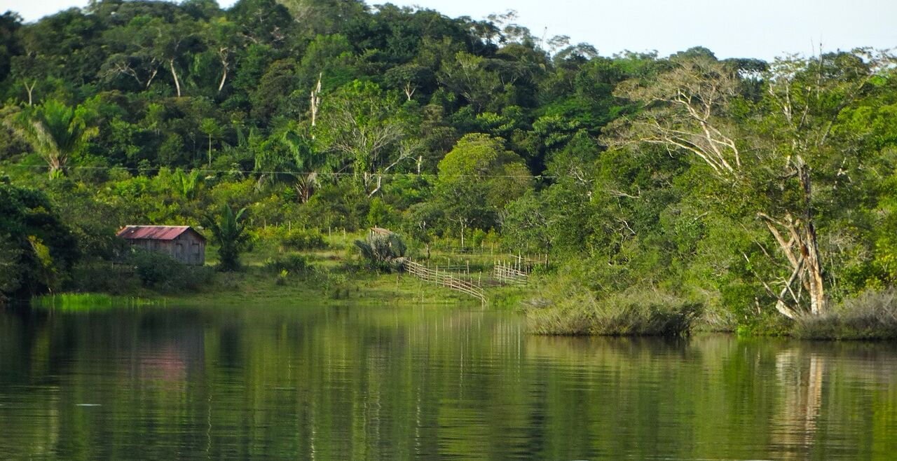 Amazonas - © Foto: Pixabay / estevesbae