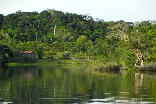 Amazonas - © Foto: Pixabay / estevesbae