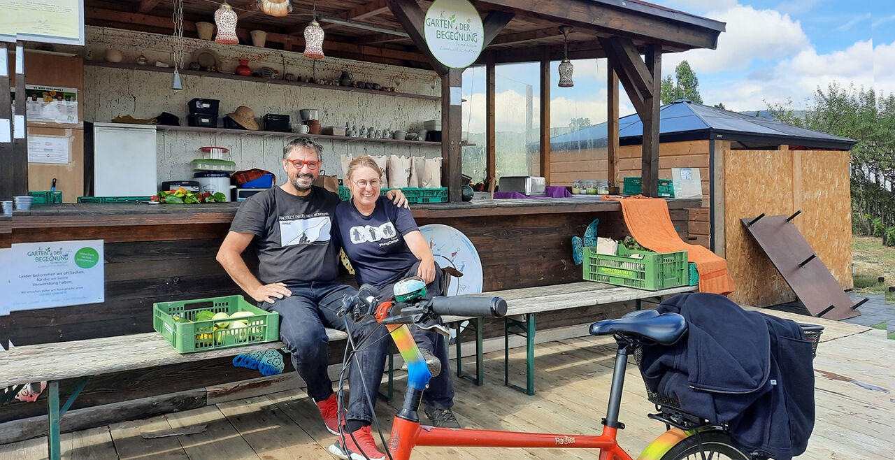 Garten der Begtegnung: öko und solidarisch - Der Traiskirchner SPÖ-Stadtrat Norbert Ciperle mit Garten-Chefin Heidi Rotteneder im „Garten der Begegnung“, wo Flüchtlinge und Einheimische eine gerechte Saat aufgehen sehen. - © Wolfgang Machreich