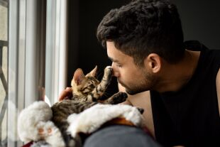 Kuschelrituale mit Katze  - © Foto: iStock / Raphael Angeli