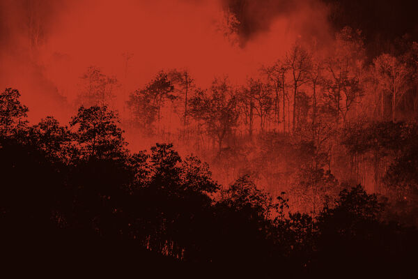 Waldbrand - © Foto: iStock/mack2happy (Bildbearbeitung: Rainer Messerklinger)